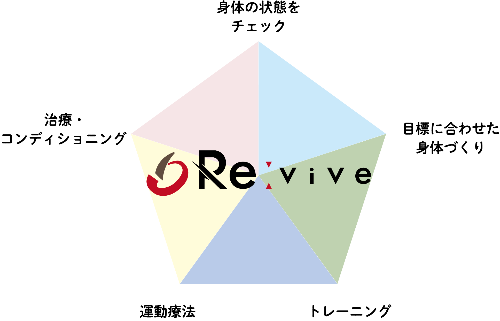 Reviveの身体づくり